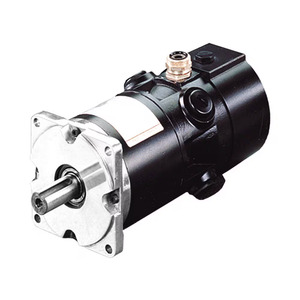 RS Series DC Servo motor